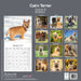 Cairn Terrier 2027 Square Wall Calendar