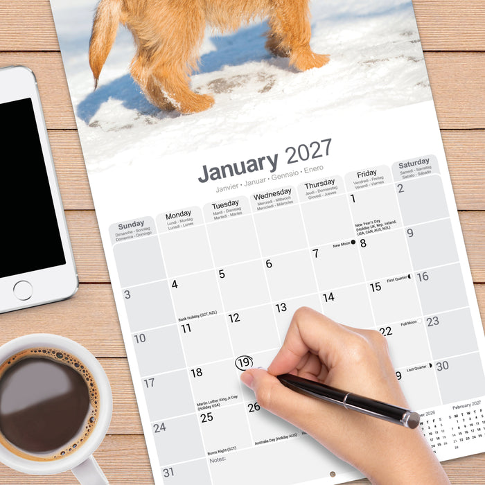 Cairn Terrier 2027 Square Wall Calendar