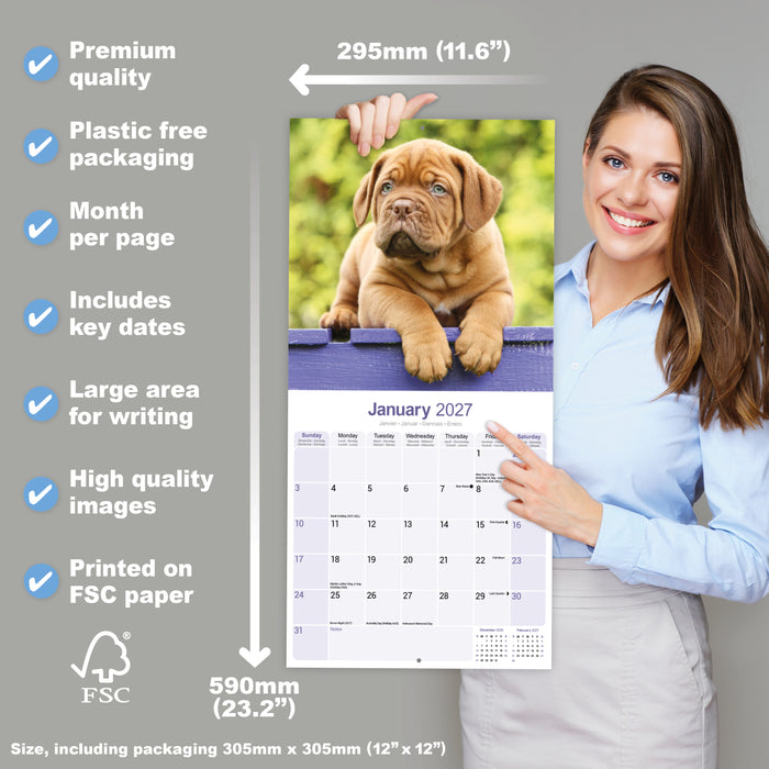 Dogue de Bordeaux 2027 Square Wall Calendar