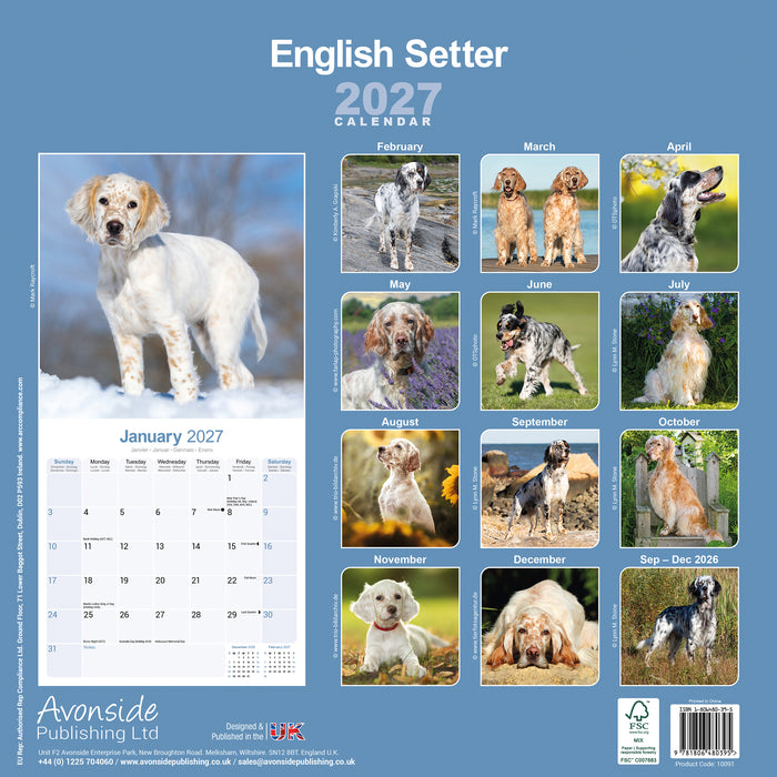 English Setter 2027 Square Wall Calendar