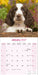 English Springer Spaniel Euro 2027 Square Wall Calendar