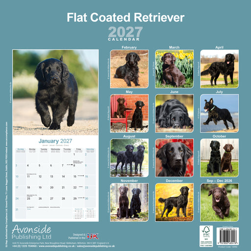 Flatcoated Retriever 2027 Square Wall Calendar