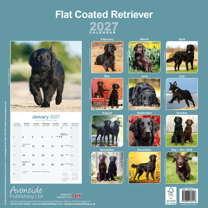 Flatcoated Retriever 2027 Square Wall Calendar