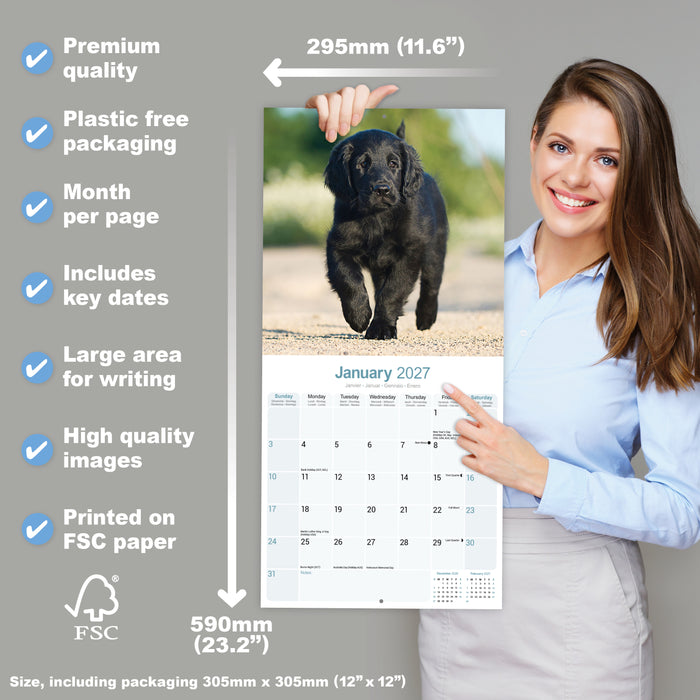 Flatcoated Retriever 2027 Square Wall Calendar