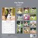 Fox Terrier 2027 Square Wall Calendar