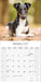 Fox Terrier 2027 Square Wall Calendar