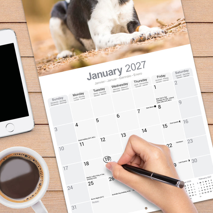 Fox Terrier 2027 Square Wall Calendar