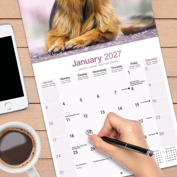 German Shepherd 2027 Square Wall Calendar