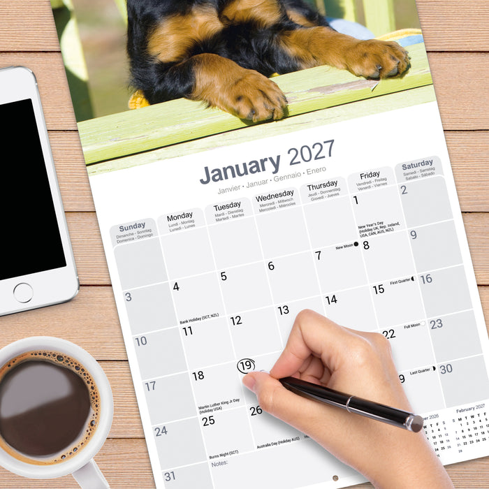 Gordon Setter 2027 Square Wall Calendar
