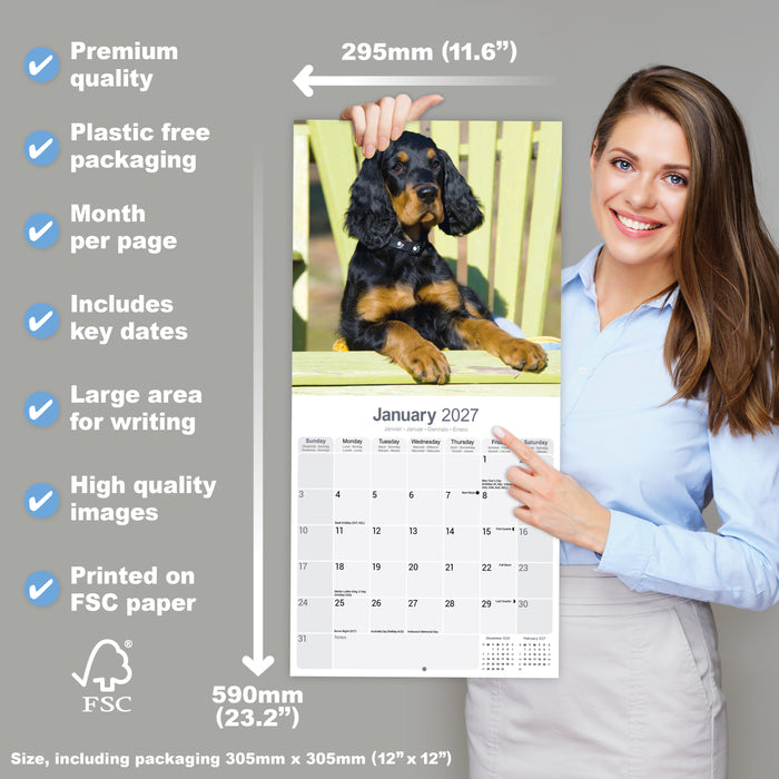 Gordon Setter 2027 Square Wall Calendar