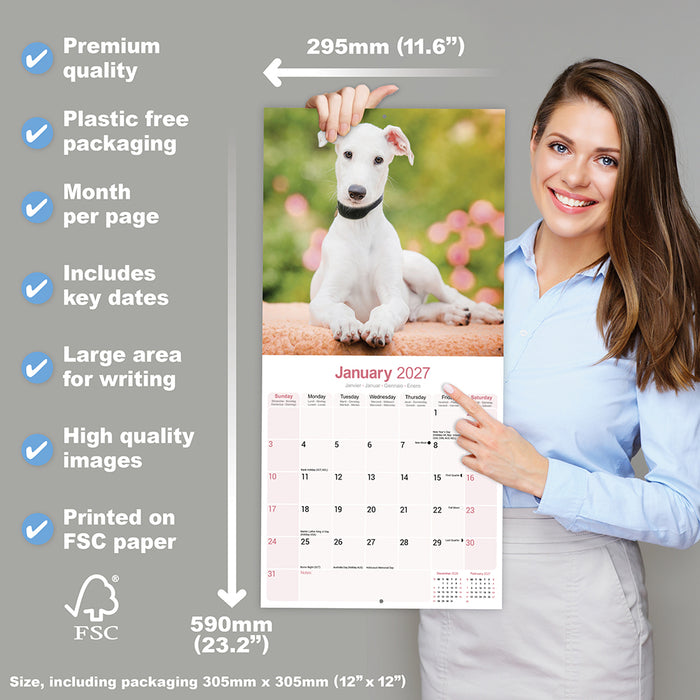 Greyhound 2027 Square Wall Calendar