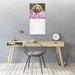 Irish Setter 2027 Square Wall Calendar
