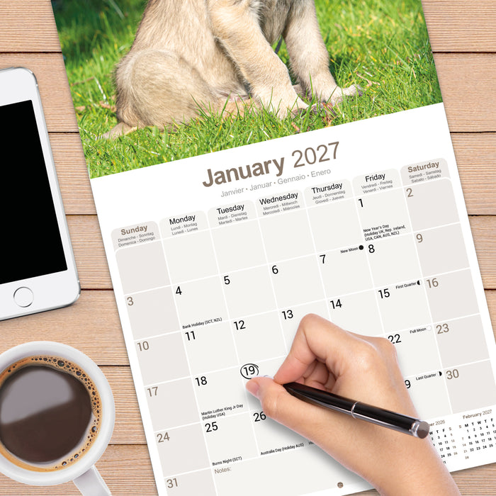Irish Wolfhound 2027 Square Wall Calendar