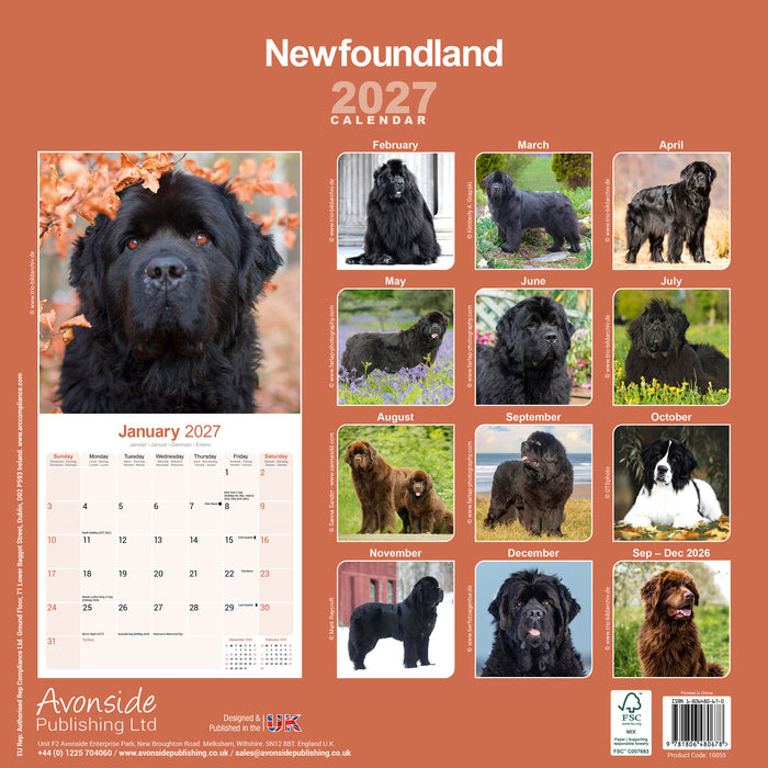 Newfoundland 2027 Square Wall Calendar
