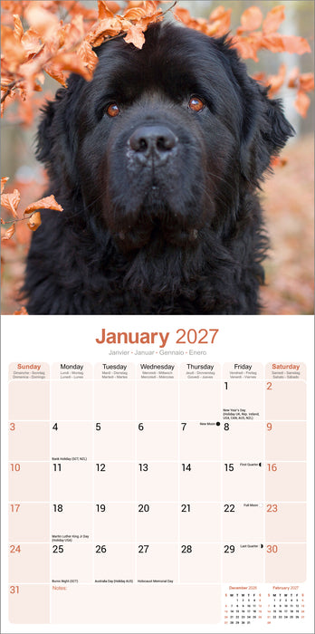 Newfoundland 2027 Square Wall Calendar