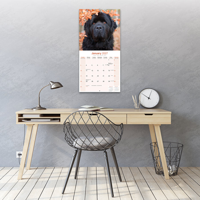 Newfoundland 2027 Square Wall Calendar