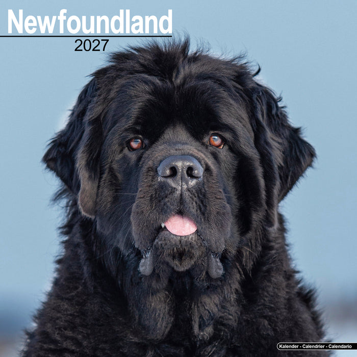 Newfoundland 2027 Square Wall Calendar