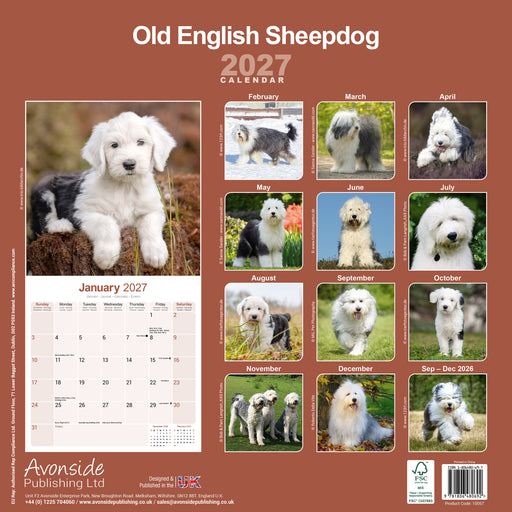 Old English Sheepdog 2027 Square Wall Calendar
