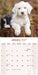 Old English Sheepdog 2027 Square Wall Calendar