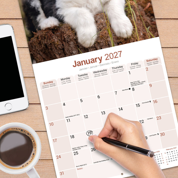 Old English Sheepdog 2027 Square Wall Calendar