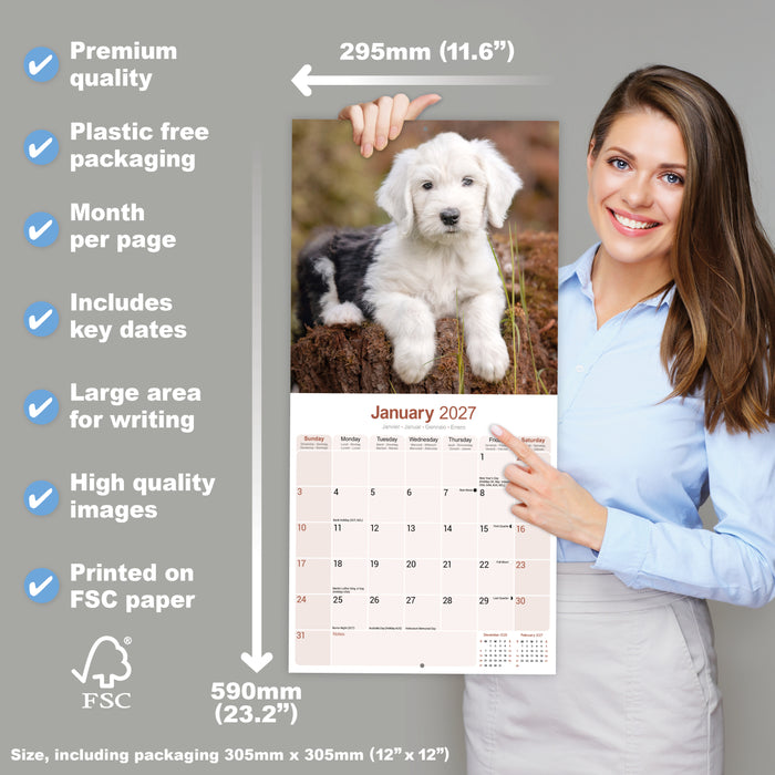 Old English Sheepdog 2027 Square Wall Calendar
