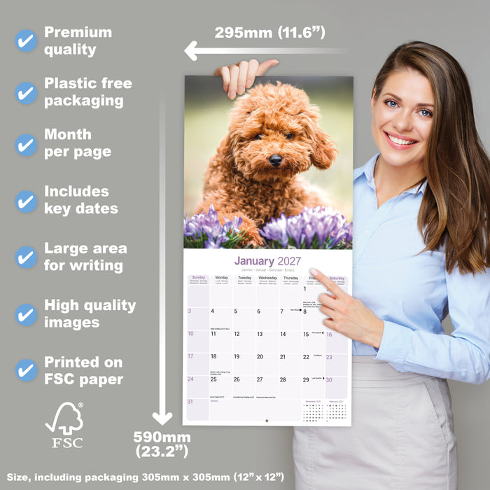 Poodle Toy and Miniature 2027 Square Wall Calendar