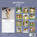 Saint Bernard 2027 Square Wall Calendar