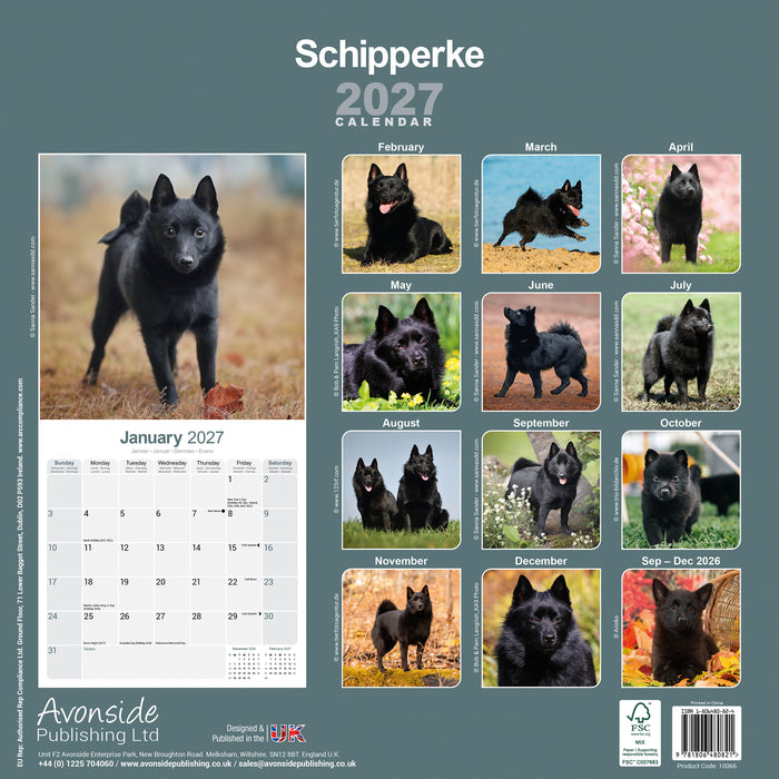 Schipperke 2027 Square Wall Calendar