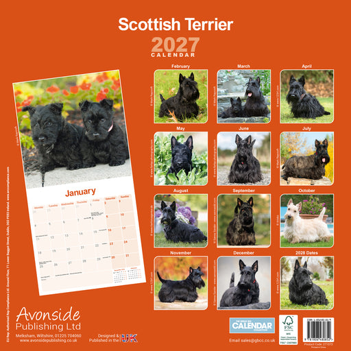 Scottish Terrier 2027 Square Wall Calendar