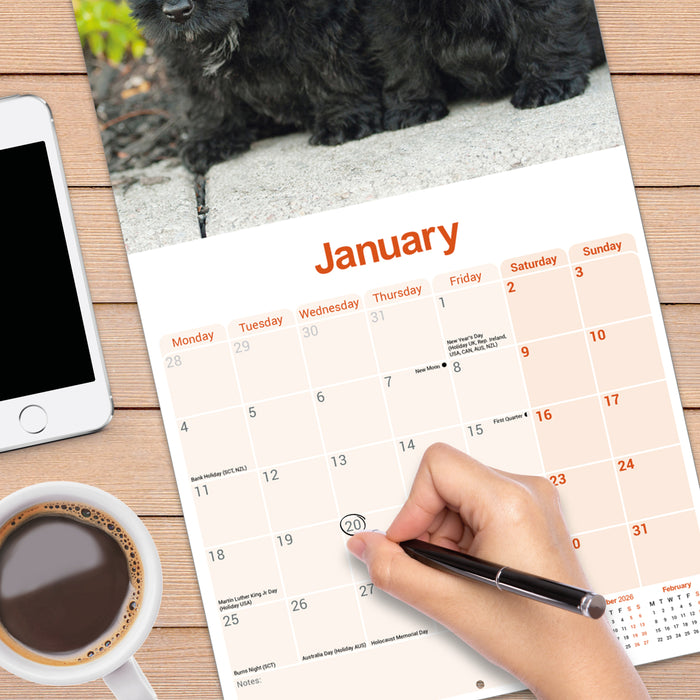 Scottish Terrier 2027 Square Wall Calendar