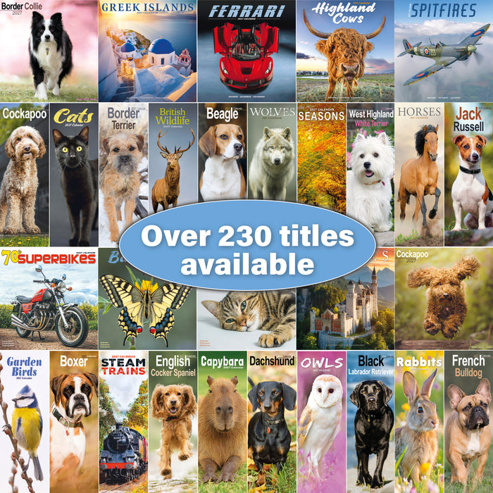 Scottish Terrier 2027 Square Wall Calendar
