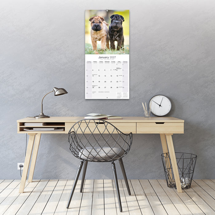 Shar Pei 2027 Square Wall Calendar