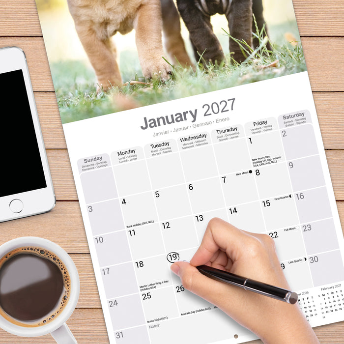 Shar Pei 2027 Square Wall Calendar
