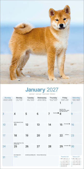 Shiba Inu 2027 Square Wall Calendar