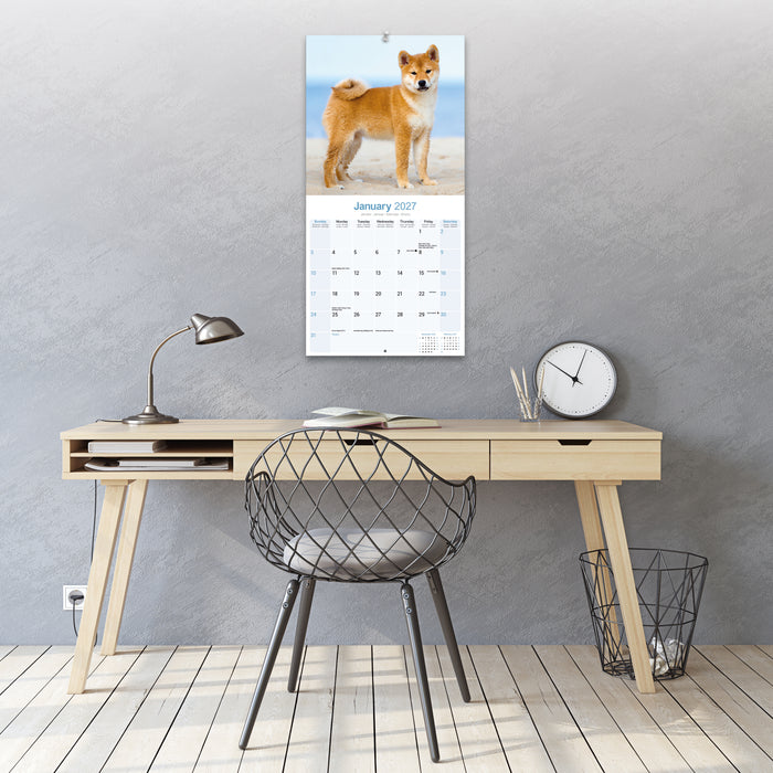 Shiba Inu 2027 Square Wall Calendar