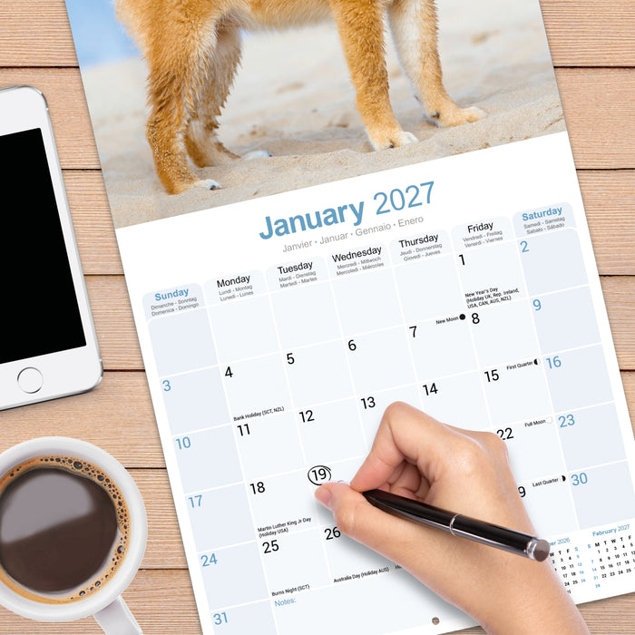 Shiba Inu 2027 Square Wall Calendar