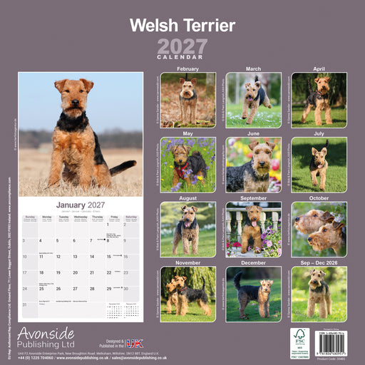Welsh Terrier 2027 Square Wall Calendar