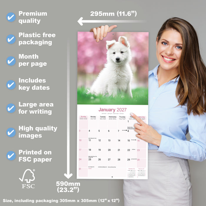 White Shepherd 2027 Square Wall Calendar