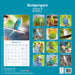 Budgerigar 2027 Square Wall Calendar