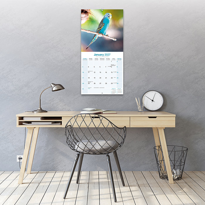 Budgerigar 2027 Square Wall Calendar