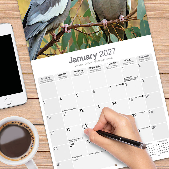 Cockatiels 2027 Square Wall Calendar