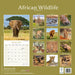 African Wildlife 2027 Square Wall Calendar
