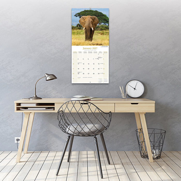 African Wildlife 2027 Square Wall Calendar