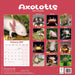 Axolotls 2027 Square Wall Calendar