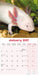 Axolotls 2027 Square Wall Calendar