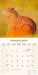 Capybara 2027 Square Wall Calendar