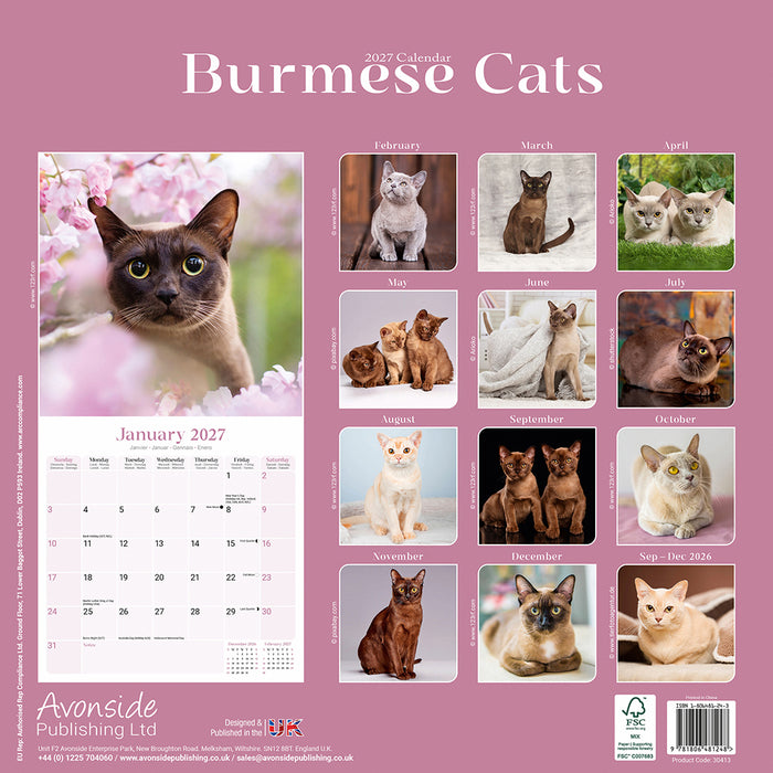 Burmese Cats 2027 Square Wall Calendar