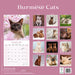 Burmese Cats 2027 Square Wall Calendar