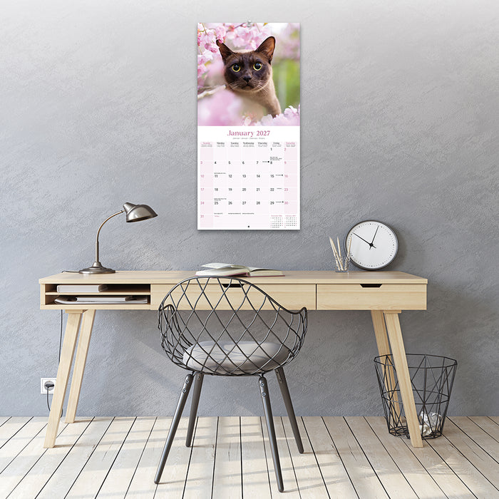 Burmese Cats 2027 Square Wall Calendar
