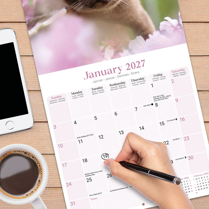 Burmese Cats 2027 Square Wall Calendar